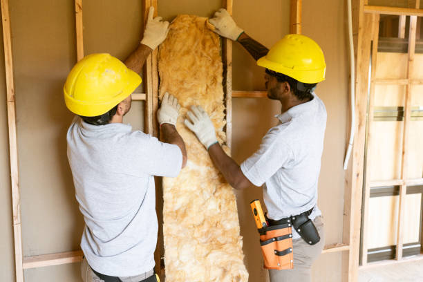 Best Cellulose Insulation  in Morris, AL